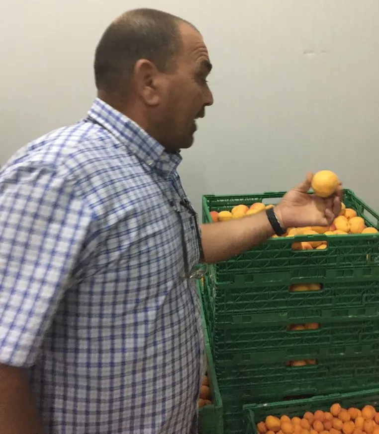 Man with apricots 