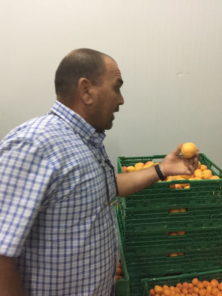 Man with fruit