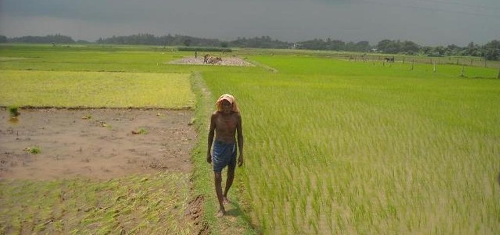 Man walking in a field.